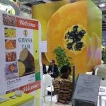 Ghana Nigeria Yam export in Africa